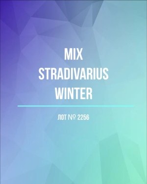 Купить STRADIVARIUS Winter mix#15 кг, ЛОТ №2256 оптом в Кемерово и Кемеровской области