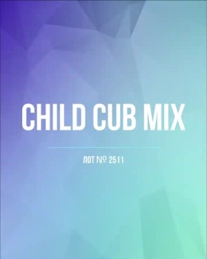 Купить CUBUS детский микс лето (Children CUBUS mix)#15 кг, ЛОТ №2511 оптом в Кемерово и Кемеровской области
