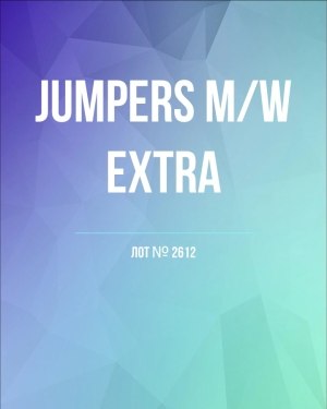 Купить Джемпер муж+жен экстра#15 кг , Лот№2612 оптом в Кемерово и Кемеровской области