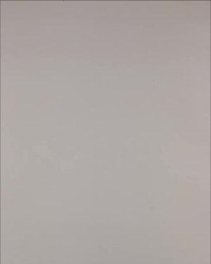 Фотография  134 - Нижнее белье Bon Prix дети#50 шт, ЛОТ №3242 оптом в Кемерово и Кемеровской области