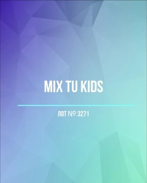 Купить TU Kids#8 кг, ЛОТ №3271 оптом в Кемерово и Кемеровской области