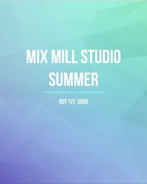 Купить MILL STUDIO Summer mix#15 кг, ЛОТ №3800 оптом в Кемерово и Кемеровской области