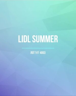 Купить LIDL Summer#20 кг, ЛОТ №4003 оптом в Кемерово и Кемеровской области