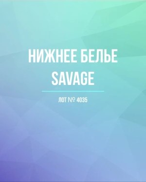 Купить Нижнее белье Savage, 50 шт, ЛОТ №4035 оптом в Кемерово и Кемеровской области