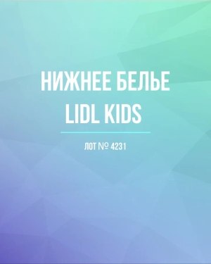 Купить Нижнее белье LIDL Kids#5 кг, ЛОТ №4231 оптом в Кемерово и Кемеровской области