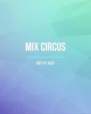 Купить CIRCUS mix #13 кг, ЛОТ №4257 оптом в Кемерово и Кемеровской области