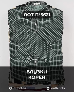 Купить Блузки Корея#20 шт, ЛОТ №5621 оптом в Кемерово и Кемеровской области