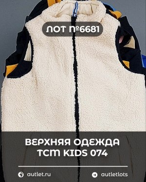 Купить Верхняя одежда TCM kids 074#7 кг, ЛОТ №6681 оптом в Кемерово и Кемеровской области