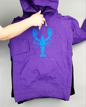 Фотография  217 - Толстовки м/ж (Sweat Tops)#20 кг, ЛОТ №7431 оптом в Кемерово и Кемеровской области