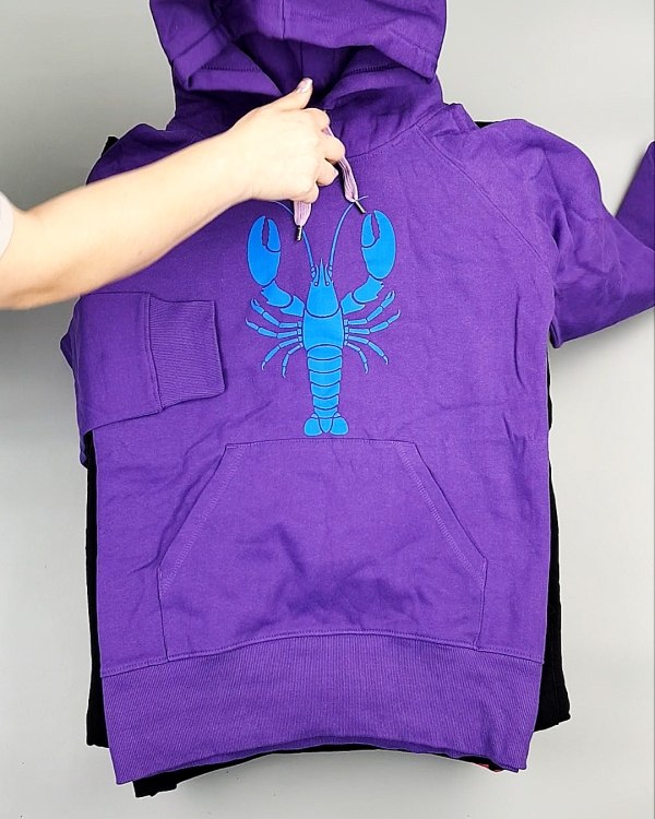 Фотография  573 - Толстовки м/ж (Sweat Tops)#20 кг, ЛОТ №7431 оптом в Кемерово и Кемеровской области